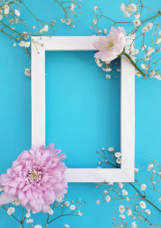 gypsophila flower on a colored background decorationの写真素材