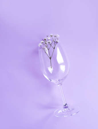 empty glass of gypsophila flower on colored backgroundの写真素材