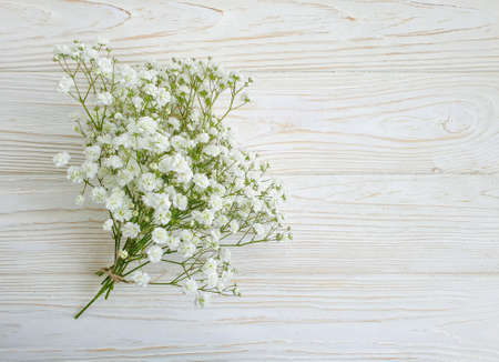 gypsophila flower on wooden backgroundの写真素材