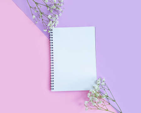 notebook  gypsophila flowers on a colored backgroundの写真素材