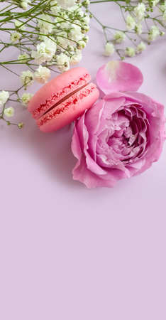 multicolored macaroon, rose flower on a colored backgroundの写真素材