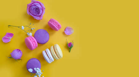 multicolored macaroon, rose flower on a colored backgroundの写真素材