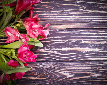 alstroemeria flower on wood background frameの写真素材