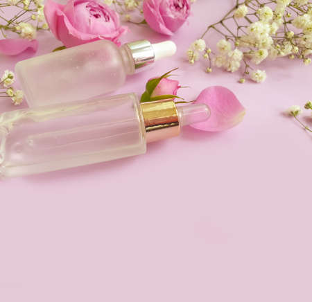 cream cosmetic rose flower on colored background