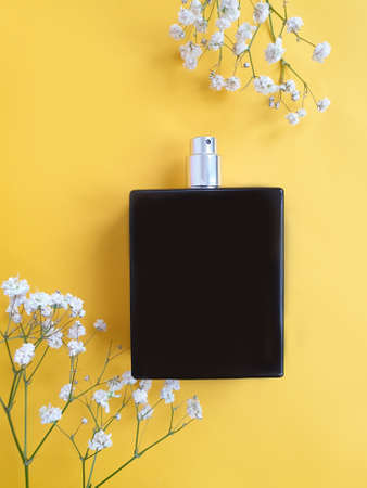 bottle black perfume on color backgroundの写真素材