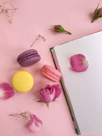 multicolored macaroon, rose flower on a colored backgroundの写真素材