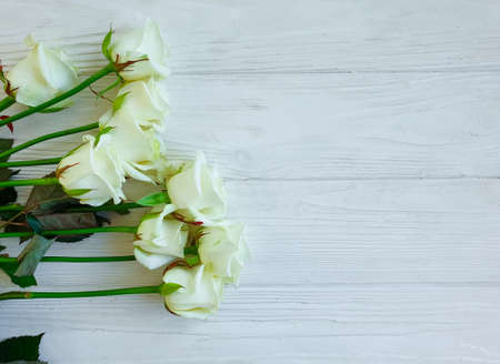 flower rose on wooden background frame