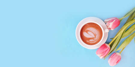 cup of coffee. tulip flower on colored backgroundの写真素材