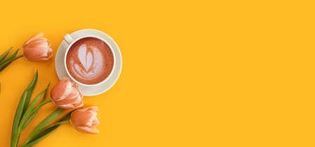 cup of coffee. tulip flower on colored background