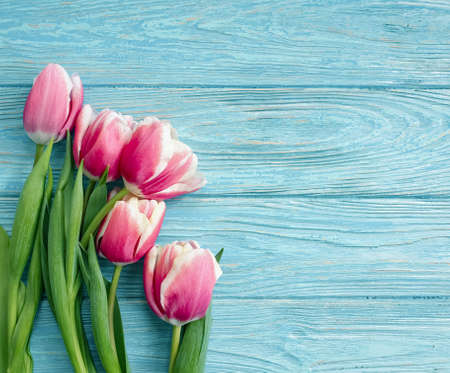 tulip flower on old wooden backgroundの写真素材