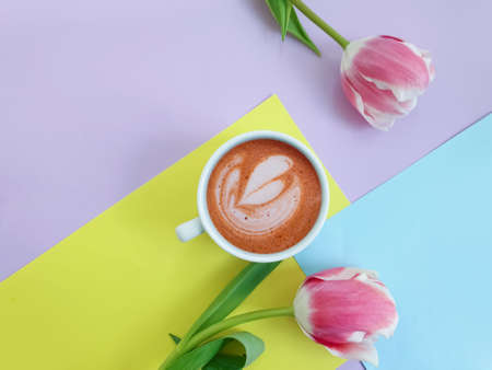 cup of coffee. tulip flower on colored backgroundの写真素材