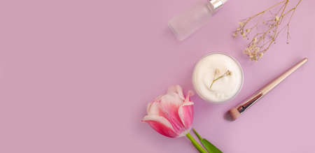 cream cosmetic flower tulip on a colored backgroundの写真素材