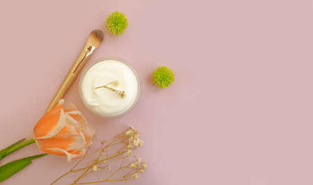 cream cosmetic flower tulip on a colored backgroundの写真素材