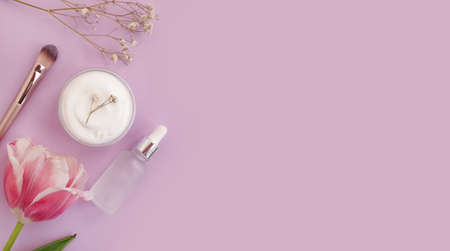 cream cosmetic flower tulip on a colored backgroundの写真素材