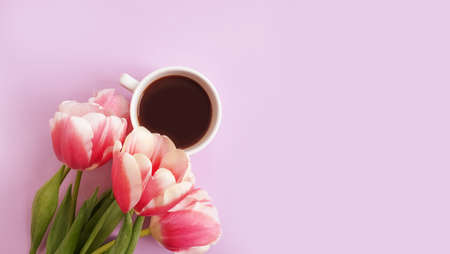cup of coffee. tulip flower on colored backgroundの写真素材