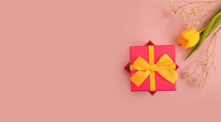 gift box, tulip flower on colored backgroundの写真素材