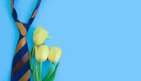 men's tie, flower tulip on a colored background