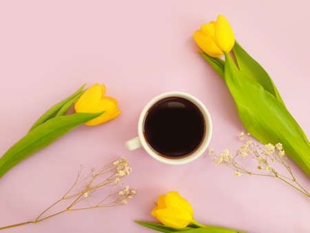 cup of coffee. tulip flower on colored backgroundの写真素材
