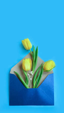 envelope, flower tulip on a colored backgroundの写真素材