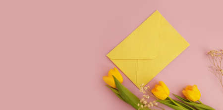 envelope of flowers tulip on a colored backgroundの写真素材