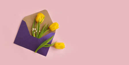 envelope, flower tulip on a colored background