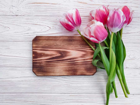 tulip flower on wooden background frameの写真素材