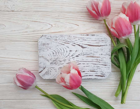 tulip flower on wooden background frameの写真素材