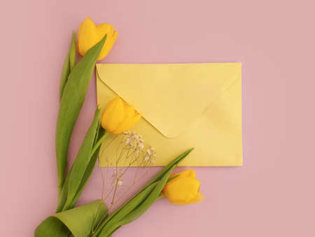 envelope, flower tulip on a colored backgroundの写真素材