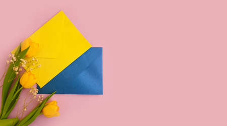 envelope, flower tulip on a colored backgroundの写真素材