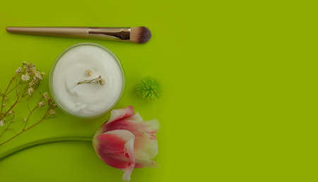 cream cosmetic flower tulip on a colored backgroundの写真素材