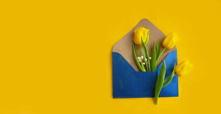 envelope, flower tulip on a colored backgroundの写真素材