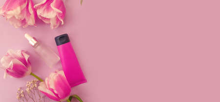 cream cosmetic flower tulip on a colored backgroundの写真素材