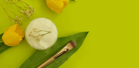 cream cosmetic flower tulip on a colored backgroundの写真素材
