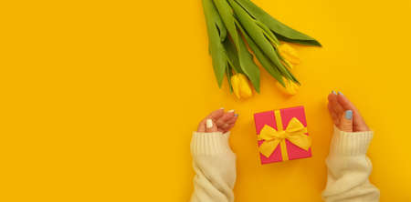 female hands hold a gift box, tulip flowerの写真素材