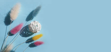 flower lagurus fluffy on colored background frameの写真素材