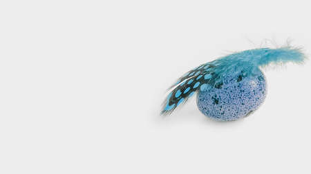 quail egg, feather isolated on white background