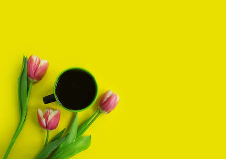 cup of coffee, flower tulip on a colored backgroundの写真素材
