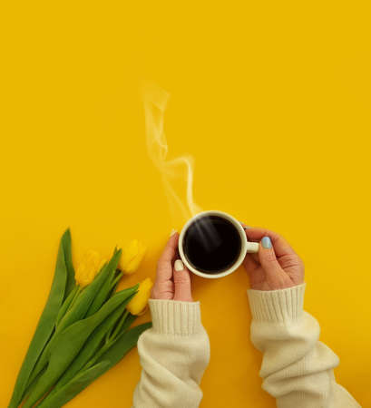 female hands hold a cup of coffee, flower tulip on a colored backgroundの写真素材