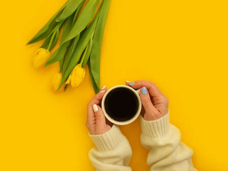 female hands hold a cup of coffee, flower tulip on a colored backgroundの写真素材