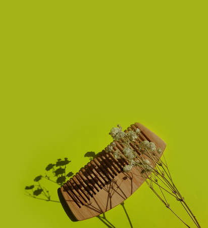 wooden comb on a colored background hairbrush