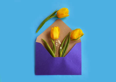 envelope flower tulip on colored background
