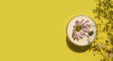cream cosmetic flower on colored background