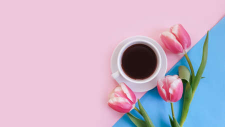 cup of coffee, flower tulip on a colored backgroundの写真素材