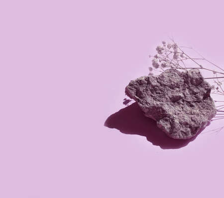 stone, gypsophila flower on colored background