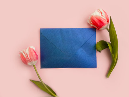 envelope flower tulip on colored backgroundの写真素材