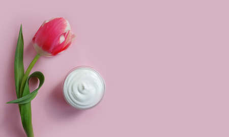 cream cosmetic flower tulip on a colored backgroundの写真素材