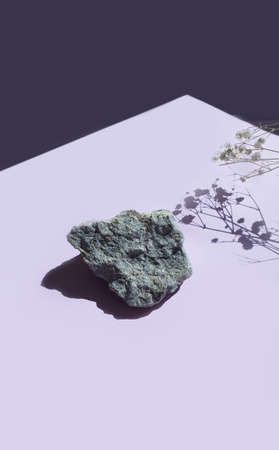 stone, gypsophila flower on colored background blank
