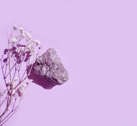 stone, gypsophila flower on colored background blank