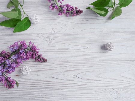 lilac branch on wooden backgroundの写真素材