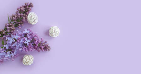 lilac branch on a colored background frame